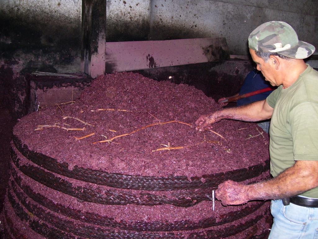 Etna Wine Azienda Agrituristica Passopisciaro Extérieur photo