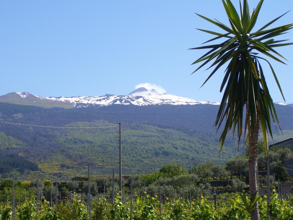 Etna Wine Azienda Agrituristica Passopisciaro Extérieur photo